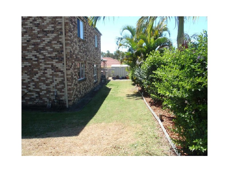 16 Walnut Court, Birkdale QLD 4159