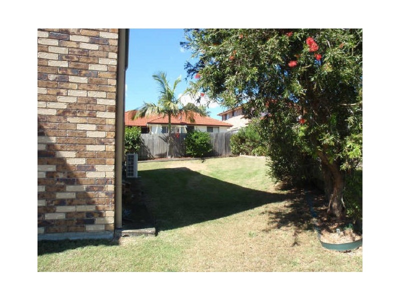 16 Walnut Court, Birkdale QLD 4159