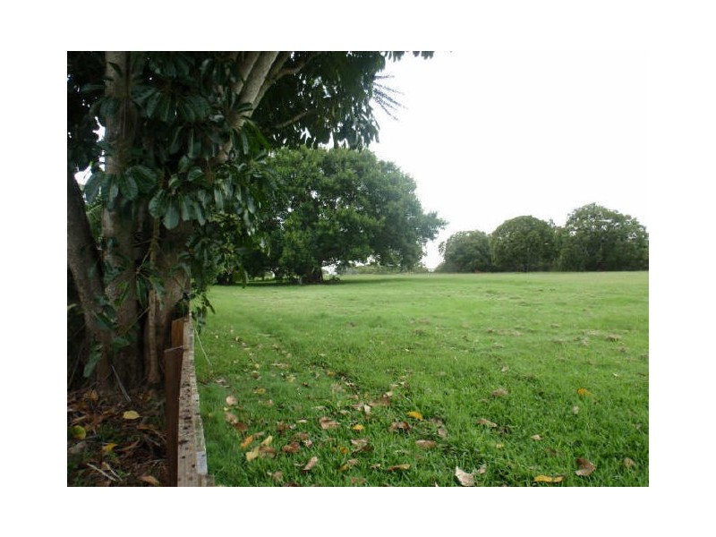 85 Thomas Street, Birkdale QLD 4159