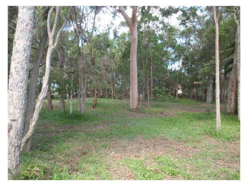 27 Fuchsia Close, Birkdale QLD 4159