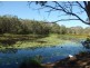 39 Poloni Place, Wellington Point QLD 4160