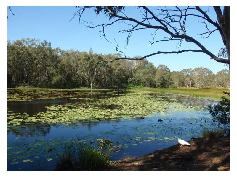 39 Poloni Place, Wellington Point QLD 4160