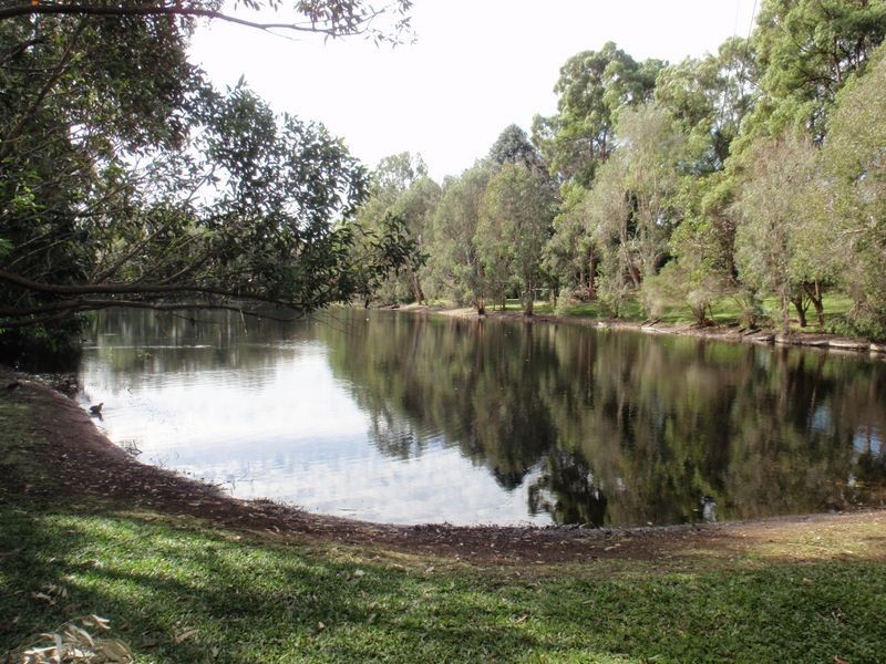 17-19 Honeygem Place, Birkdale QLD 4159