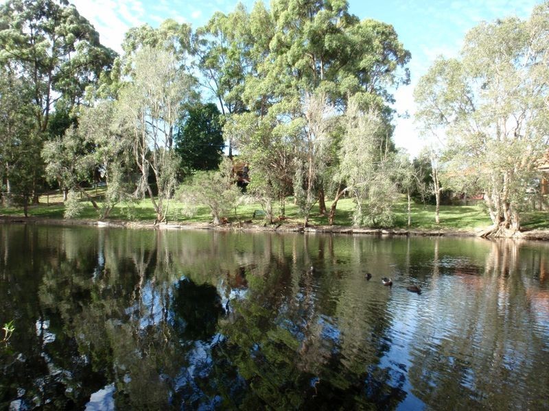 17-19 Honeygem Place, Birkdale QLD 4159