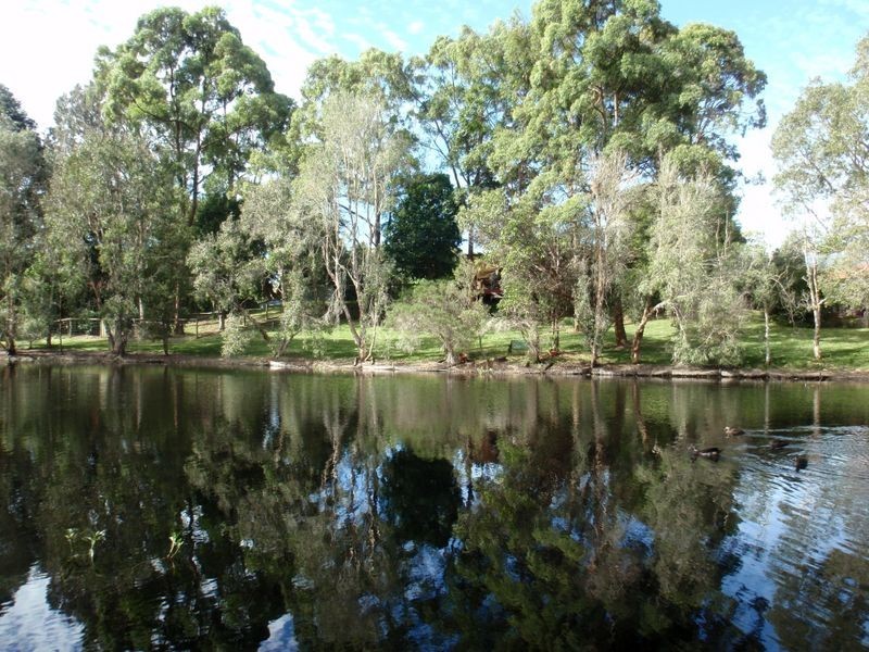 17-19 Honeygem Place, Birkdale QLD 4159