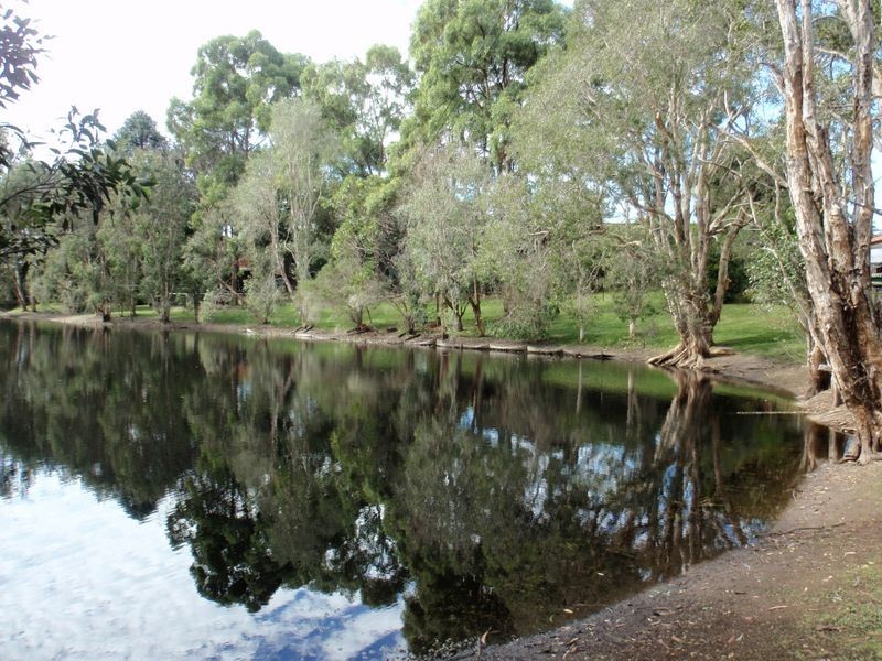 17-19 Honeygem Place, Birkdale QLD 4159