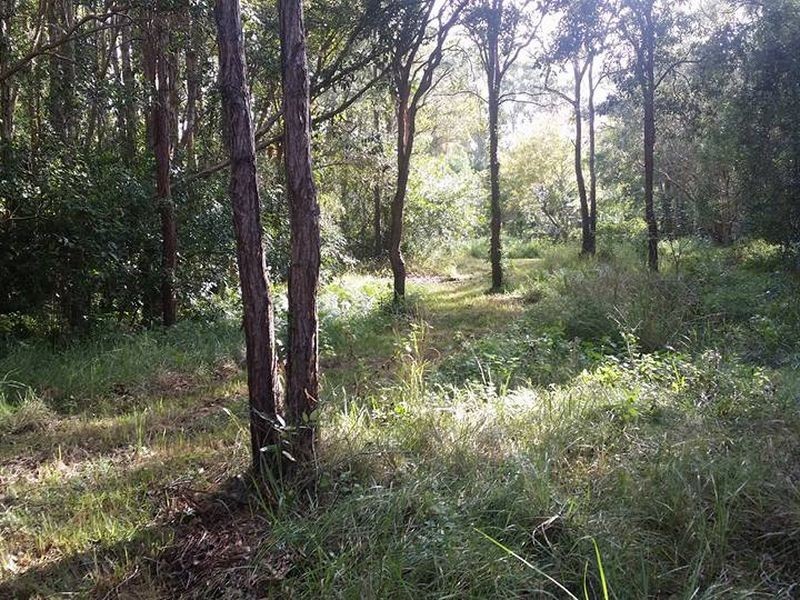 405 Old Cleveland Road East (Tom Place), Birkdale QLD 4159