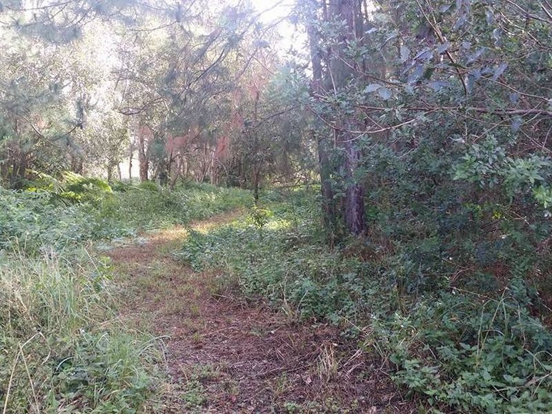 405 Old Cleveland Road East (Tom Place), Birkdale QLD 4159