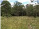 405 Old Cleveland Road East (Tom Place), Birkdale QLD 4159