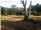 405 Old Cleveland Road East (Tom Place), Birkdale QLD 4159