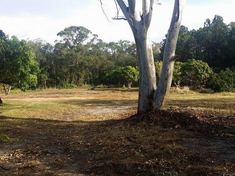 405 Old Cleveland Road East (Tom Place), Birkdale QLD 4159