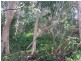405 Old Cleveland Road East (Tom Place), Birkdale QLD 4159