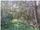 405 Old Cleveland Road East (Tom Place), Birkdale QLD 4159