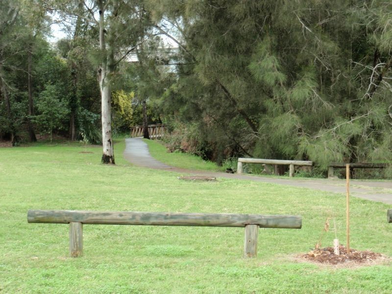 19 Ashwood Cct, Birkdale QLD 4159