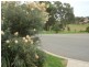 19 North Haven Place, Wellington Point QLD 4160
