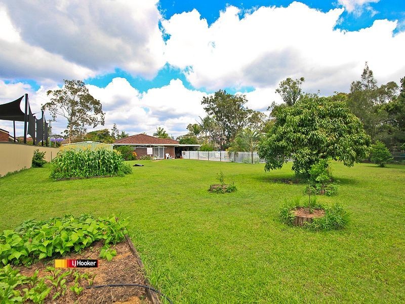 31 Whitehall Avenue, Birkdale QLD 4159