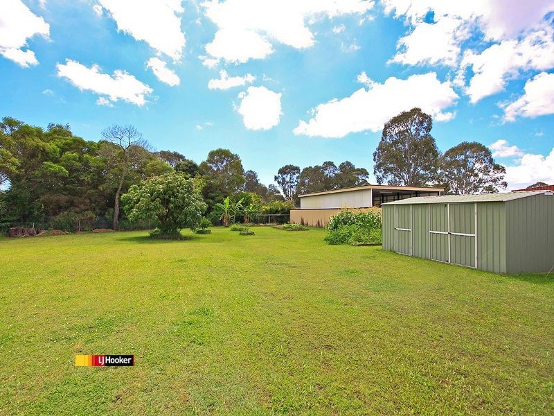 31 Whitehall Avenue, Birkdale QLD 4159