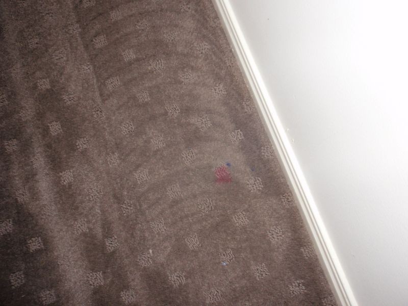 16 Kirkpatrick Street, Tingalpa QLD 4173