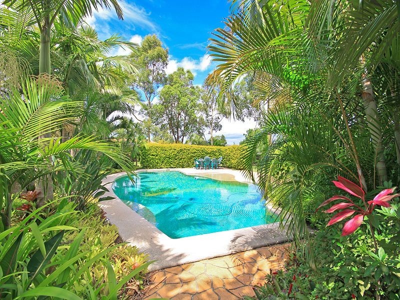 52 Whitehall Avenue, Birkdale QLD 4159