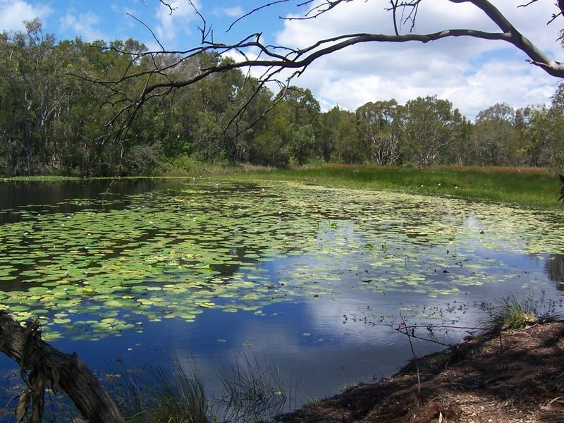 9/ Poloni Place, Wellington Point QLD 4160