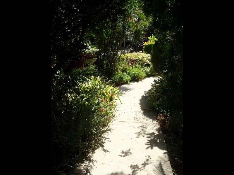 484 Old Cleveland Rd East, Birkdale QLD 4159