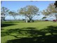 66 Wellesley Street, Wellington Point QLD 4160