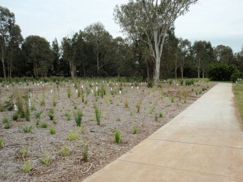 8 Nutmeg Court, Birkdale QLD 4159