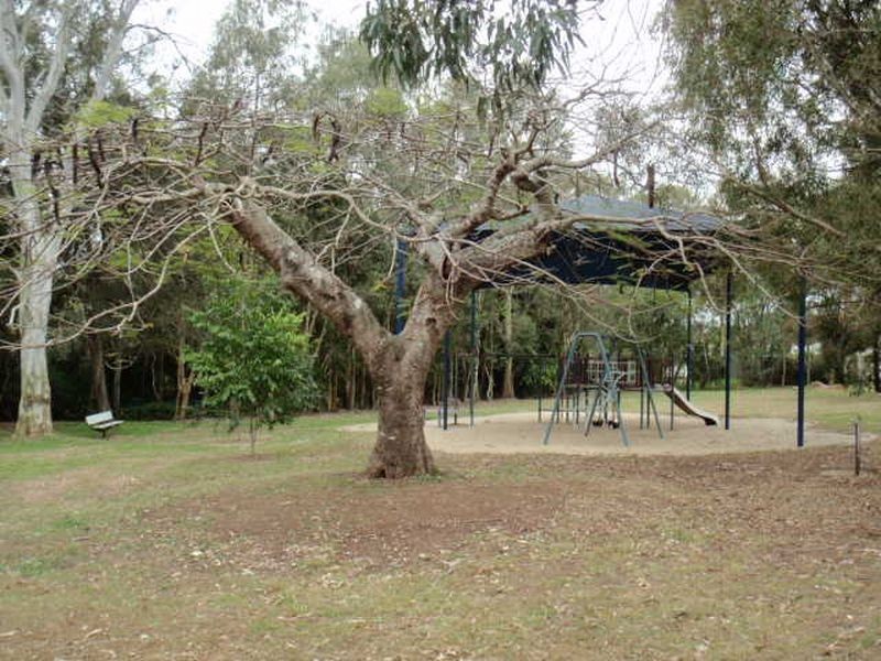 8 Nutmeg Court, Birkdale QLD 4159