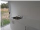 13 Nutmeg Court, Birkdale QLD 4159