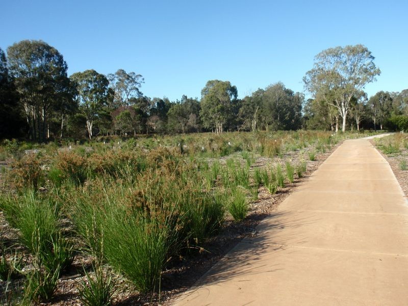 15 Nutmeg Court, Birkdale QLD 4159