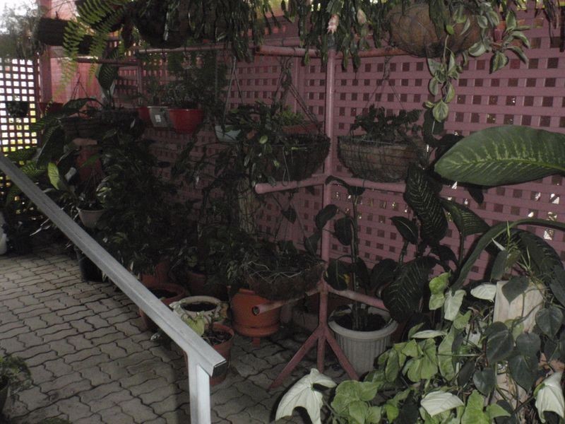 68/43 Mond Street, Thorneside QLD 4158