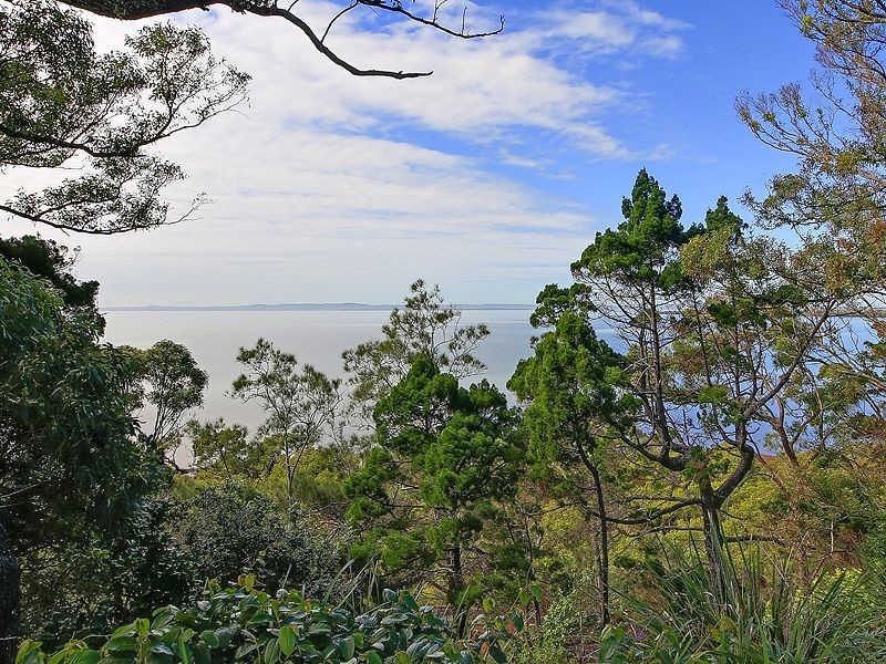 55 Main Road, Wellington Point QLD 4160