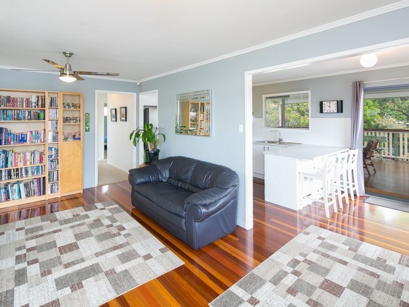 46 Agnes Street, Birkdale QLD 4159