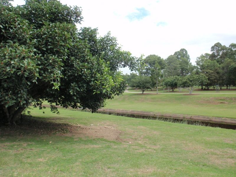 15 Macfarlan Street, Birkdale QLD 4159