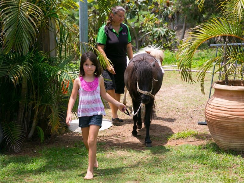 1-5 Pinecone Place, Thornlands QLD 4164