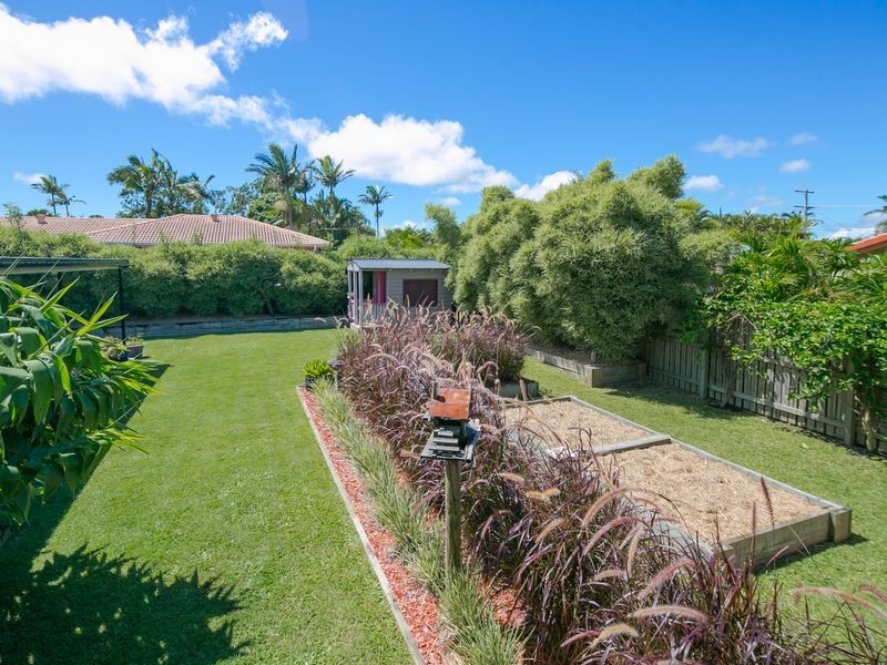 11 Reading Drive, Alexandra Hills QLD 4161