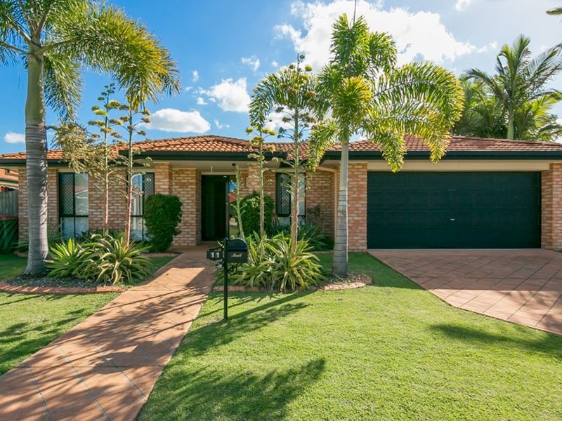 11 Walnut Court, Birkdale QLD 4159