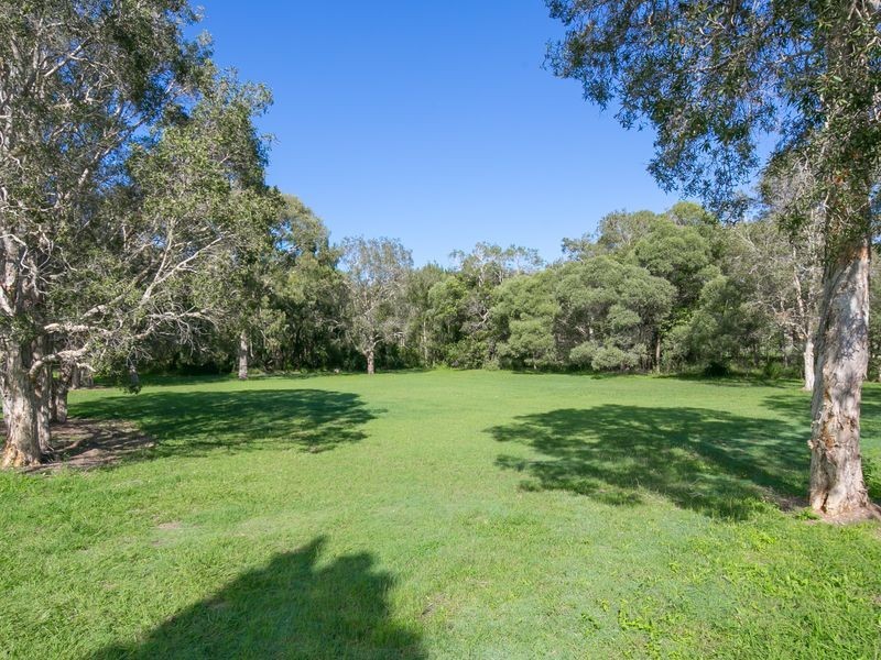 11 Bauhinia Street, Birkdale QLD 4159