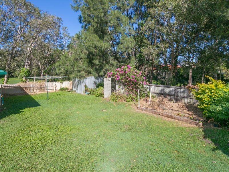 11 Bauhinia Street, Birkdale QLD 4159
