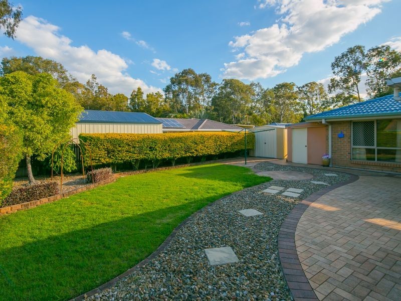 16 Tulipwood Drive, Birkdale QLD 4159