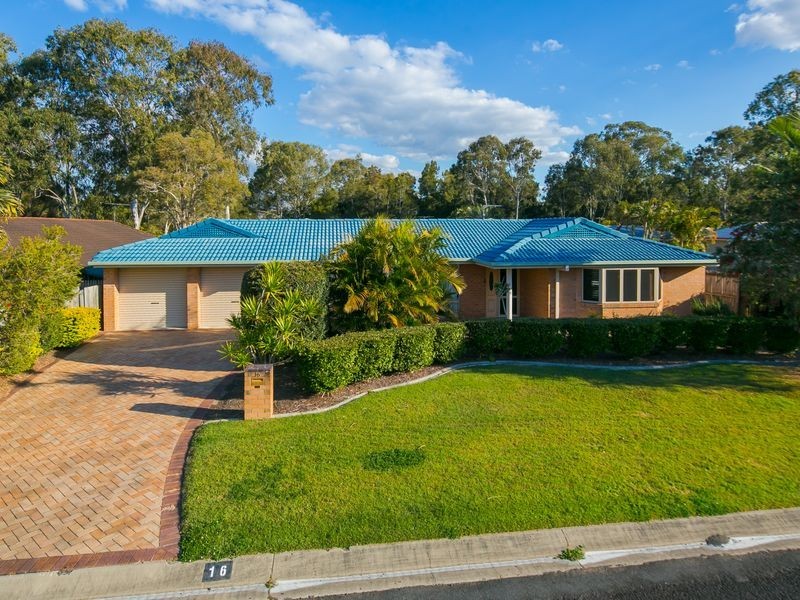 16 Tulipwood Drive, Birkdale QLD 4159
