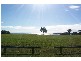 6 Bonito Court, Birkdale QLD 4159