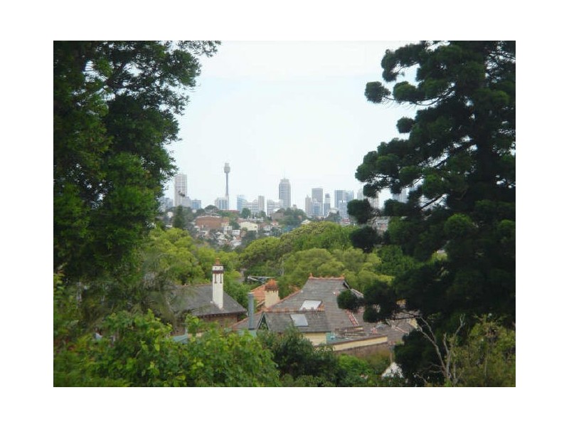 67 Waratah Street, Haberfield NSW 2045