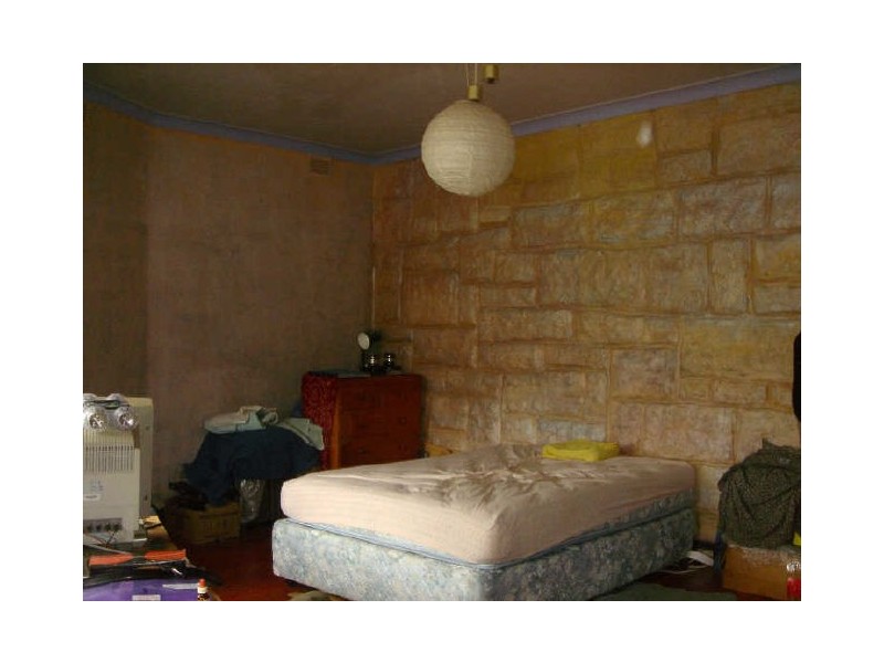 67 Waratah Street, Haberfield NSW 2045