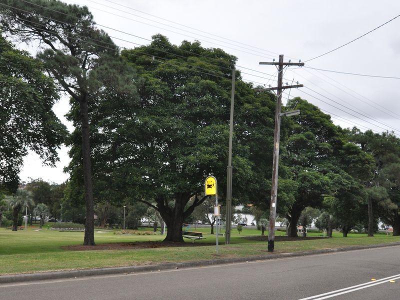 61 Boomerang Street, Haberfield NSW 2045