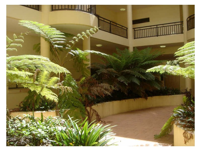 10/529 New Canterbury Road, Dulwich Hill NSW 2203