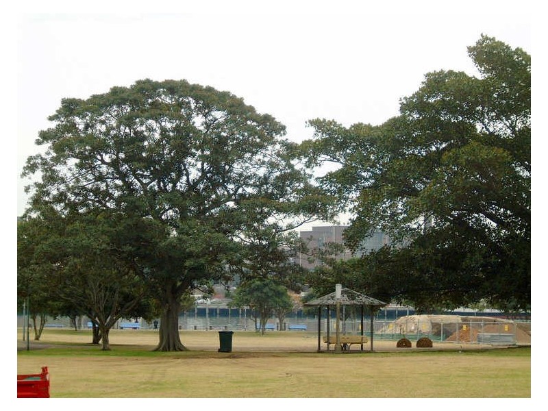 28 Victoria Road, Glebe NSW 2037