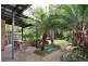 59 Charlotte Street, Ashfield NSW 2131