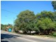 1/73 Frederick Street, Ashfield NSW 2131