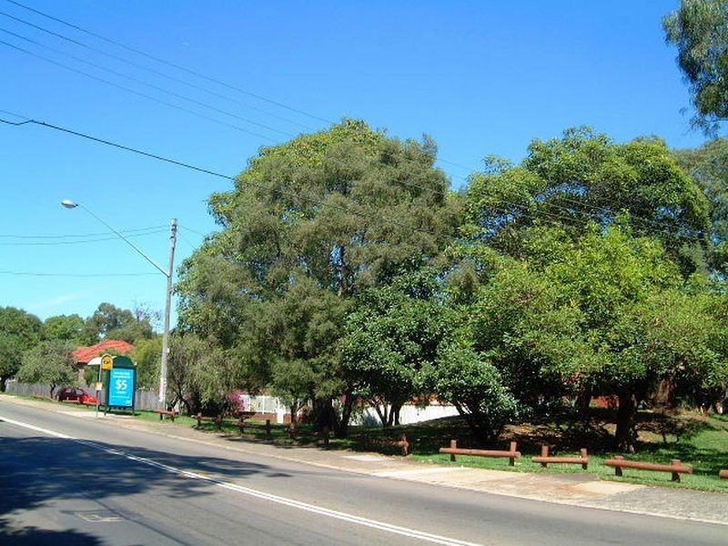 1/73 Frederick Street, Ashfield NSW 2131